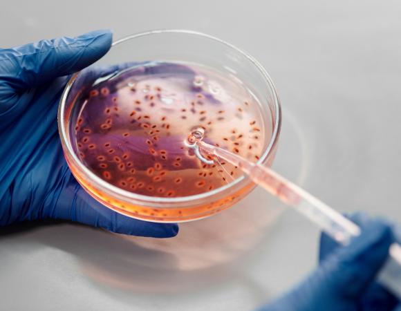 RNA-Seq Explained: From Raw Reads to Biological Insights